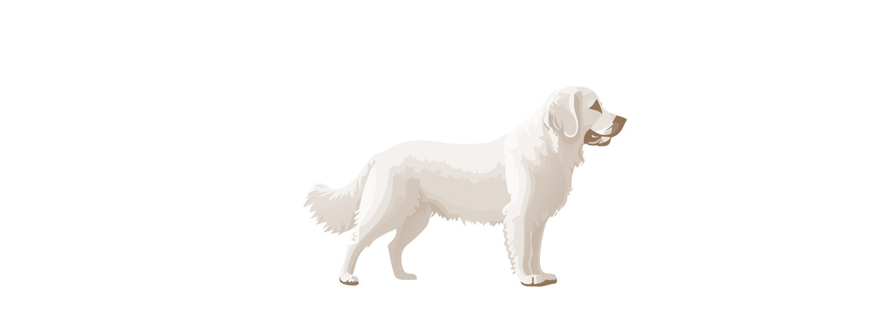 From Glieks Home Golden Retrievers