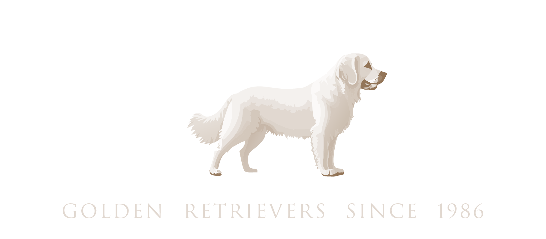 From Glieks Home - Golden Retrievers since 1986